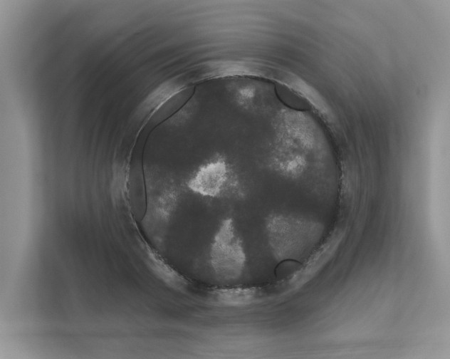 X0000111050793200907231555