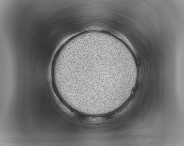 X0000111050795200907231555