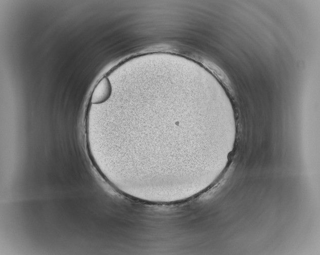 X0000111050800200907231555