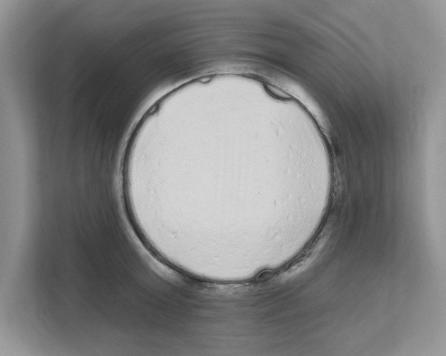 X0000111050803200907231555