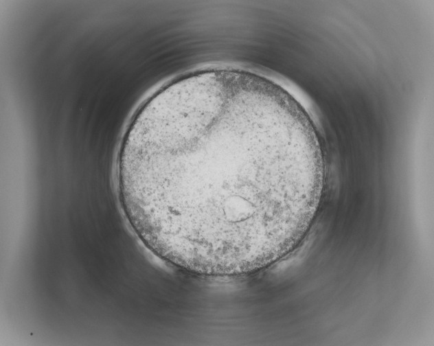 X0000111050807200907231555