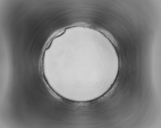 X0000111050808200907231555