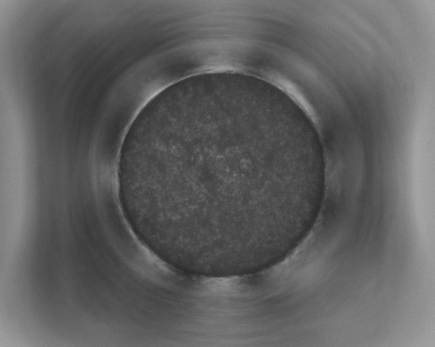 X0000111050810200907231555