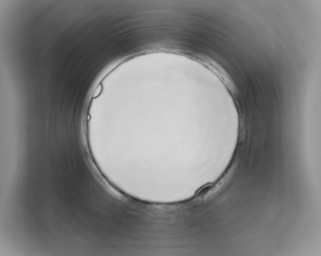 X0000111050812200907231554