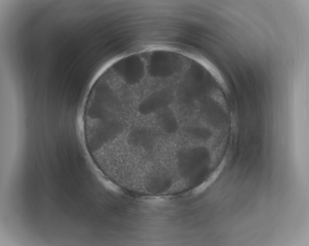 X0000111050814200907231554