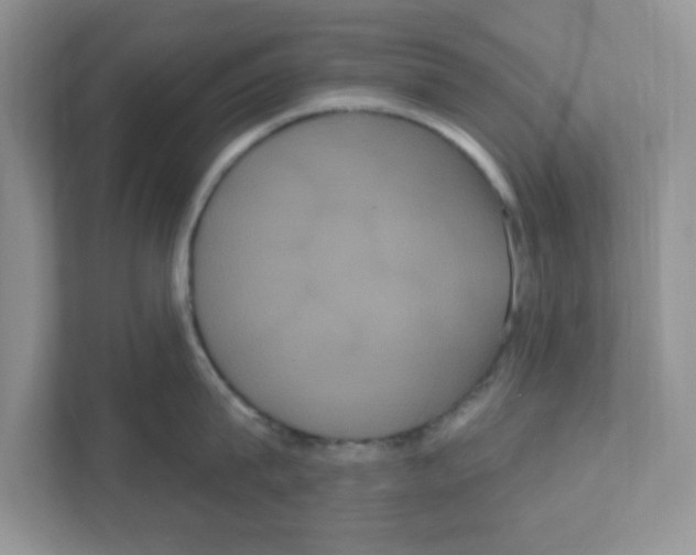 X0000111050815200907231554