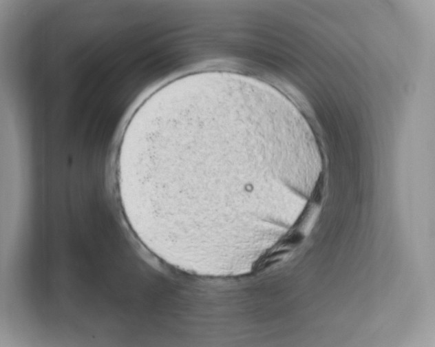 X0000111050816200907231554