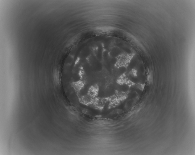 X0000111050819200907231554