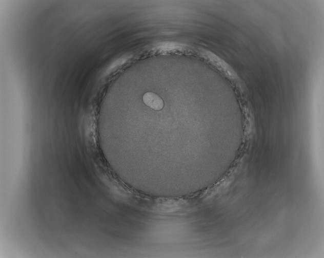 X0000111050824200907231554