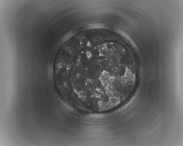 X0000111050825200907231554