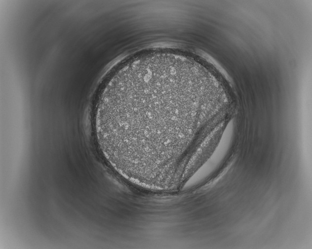 X0000111050829200907231554