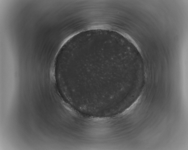 X0000111050830200907231554