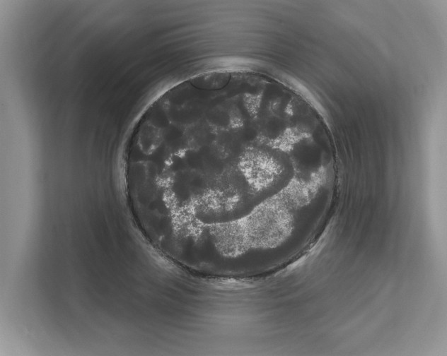 X0000111050835200907231554