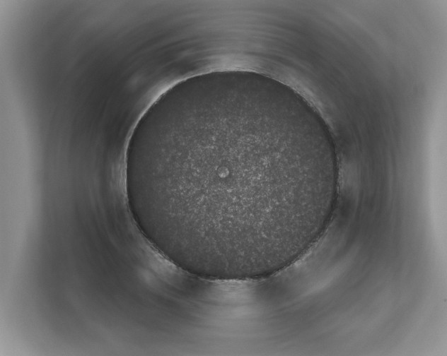 X0000111050836200907231554