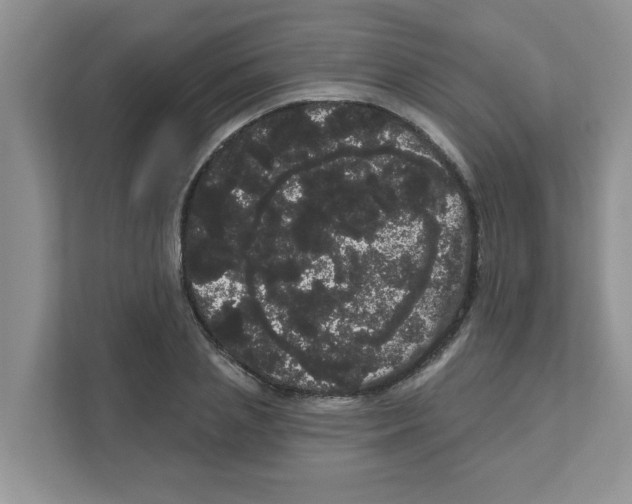 X0000111050837200907231554