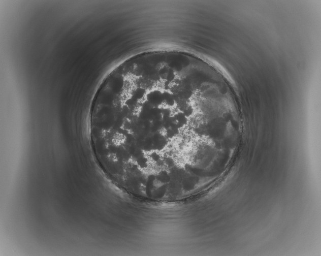 X0000111050839200907231554