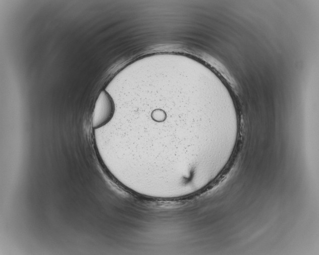 X0000111050841200907231554