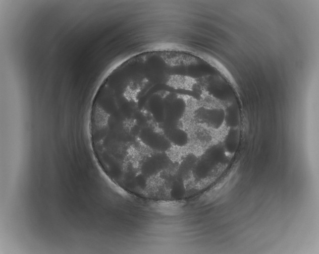 X0000111050847200907231554