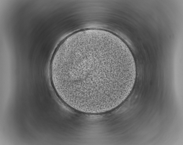 X0000111050848200907231554