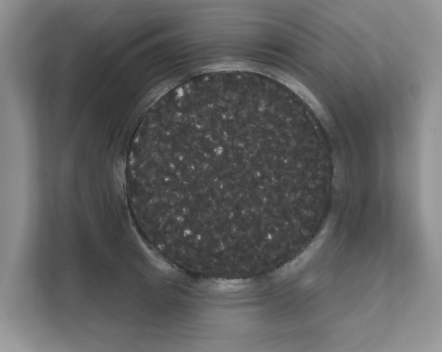 X0000111050849200907231554