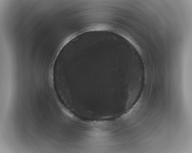 X0000111050850200907231554