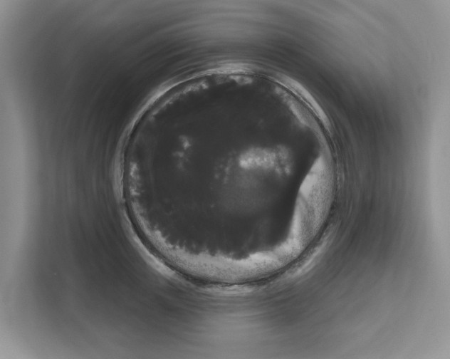 X0000111050851200907231554