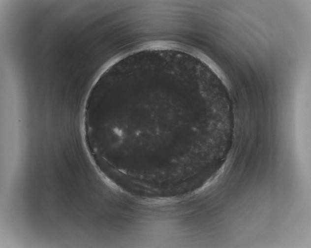 X0000111050853200907231554