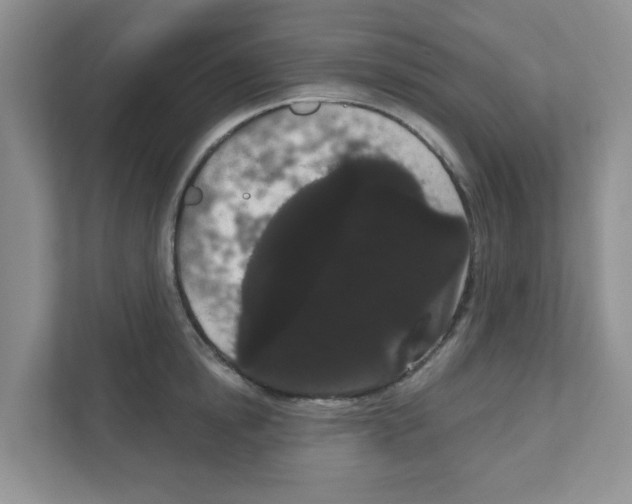 X0000111050854200907231554