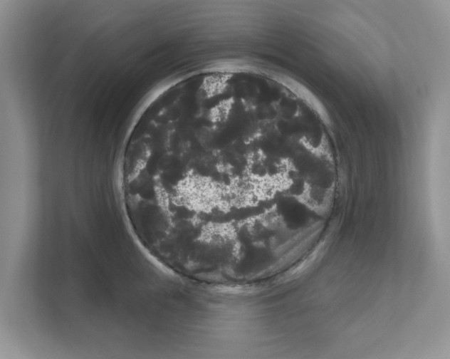 X0000111050855200907231554