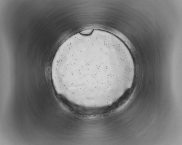 X0000111050857200907231554