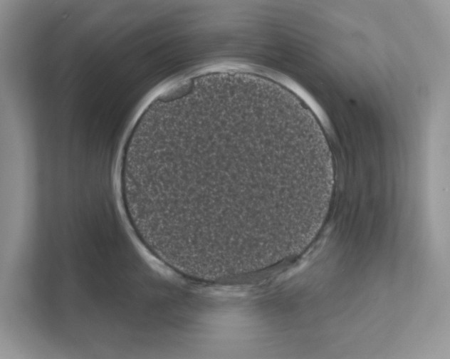 X0000111050861200907231554