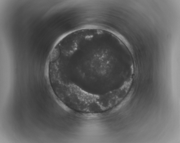 X0000111050862200907231554