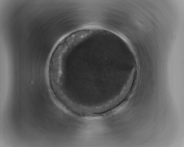 X0000111050864200907231554