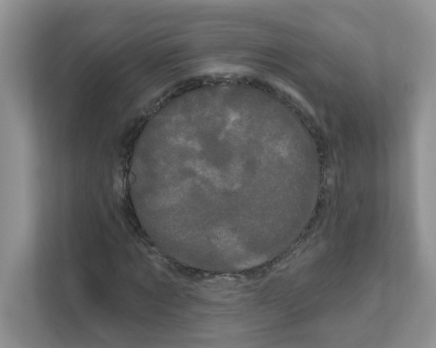 X0000111050869200907231554