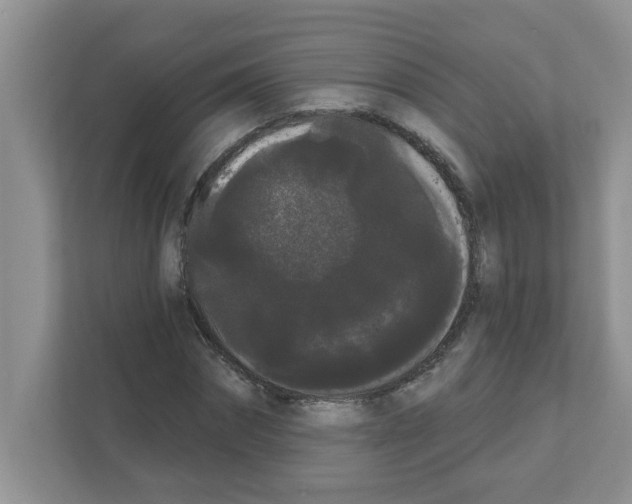 X0000111050874200907231554