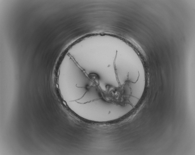 X0000111050876200907231554