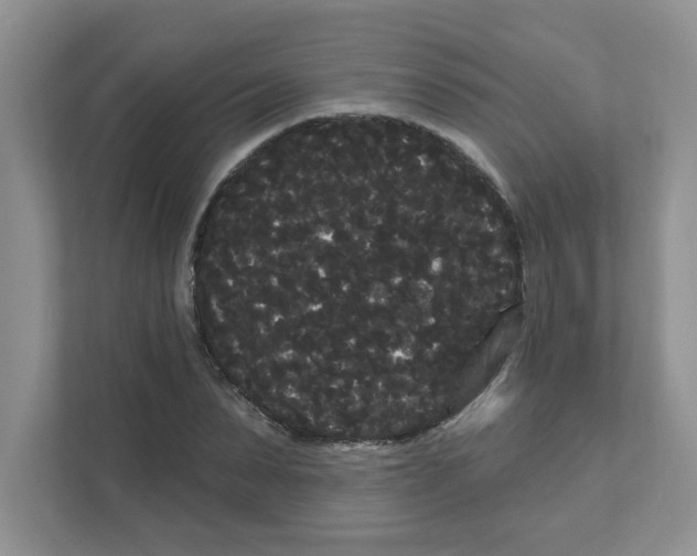 X0000111050879200907231554