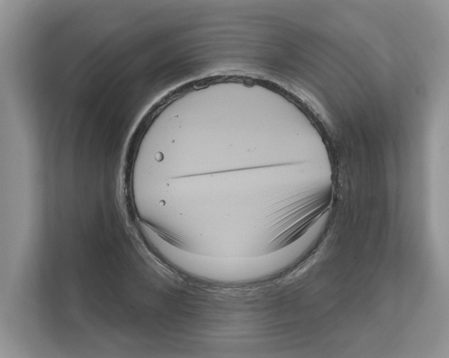 X0000111050880200907231554