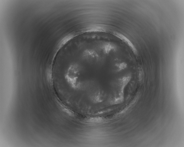 X0000111050882200907231554