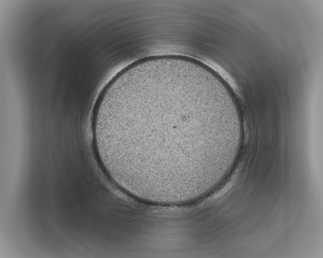 X0000111050885200907231554