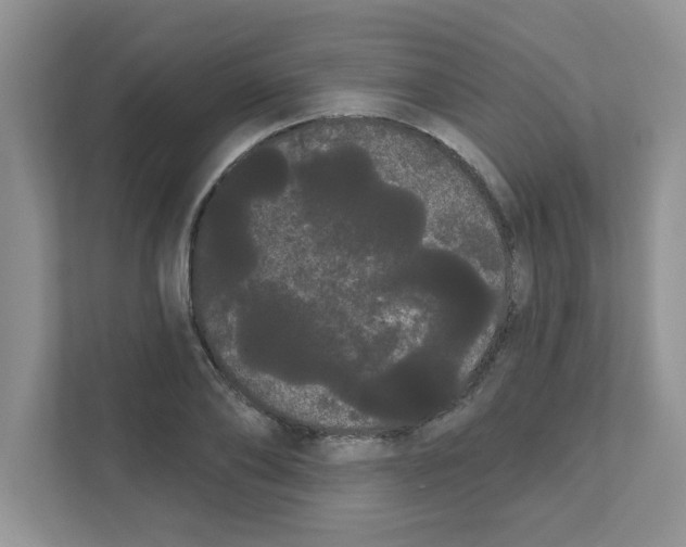 X0000111050886200907231554