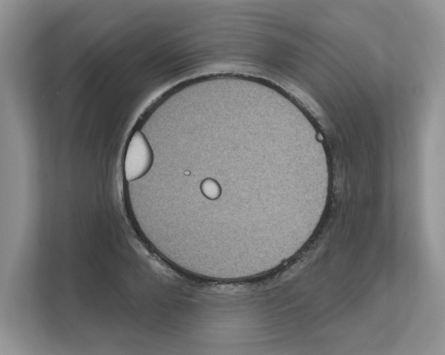 X0000111050888200907231553