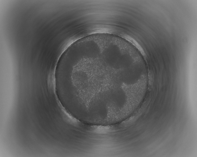 X0000111050890200907231553