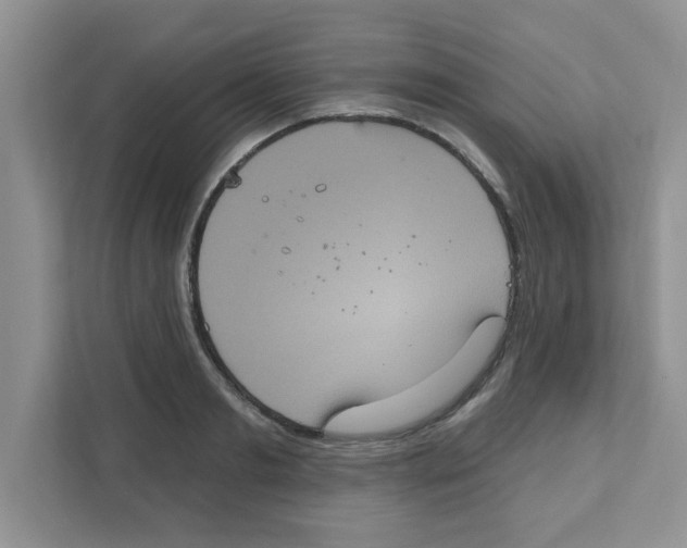 X0000111050893200907231553