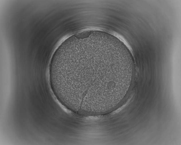 X0000111050898200907231553