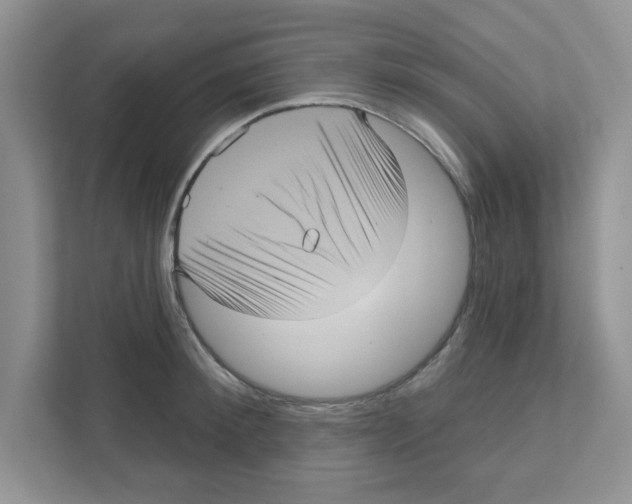 X0000111050900200907231553