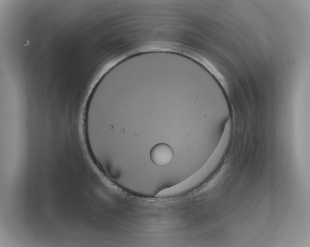 X0000111050901200907231553