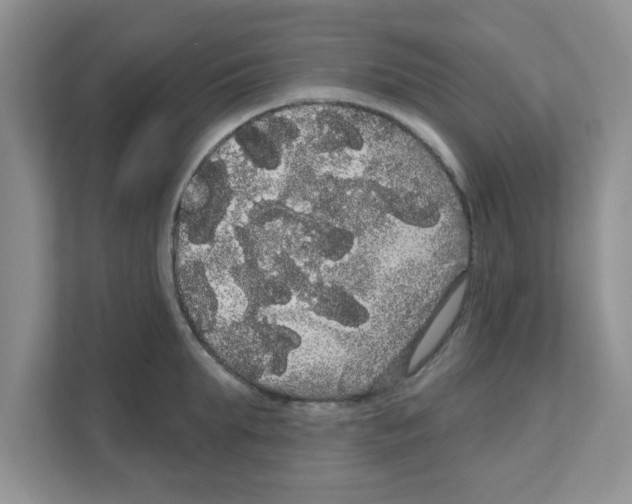 X0000111050903200907231553