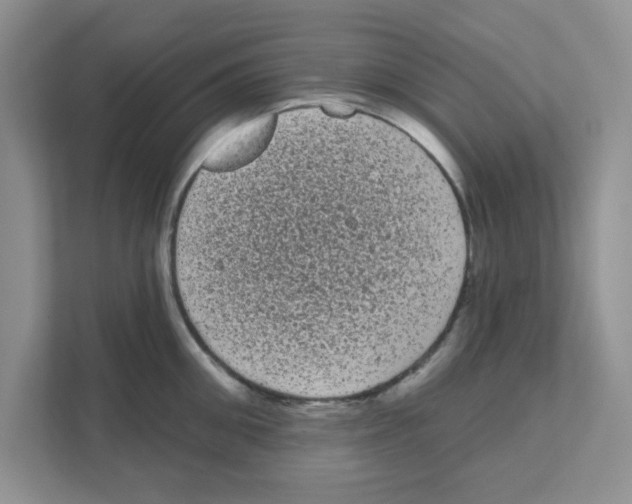 X0000111050906200907231553