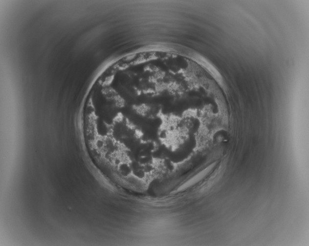 X0000111050907200907231553